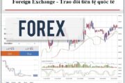 Linkfun88 là đơn vị chơi forex uy tín cho mọi anh em có đam mê đầu tư ngoại hối