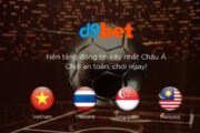 Đôi nét tổng quan D9Bet